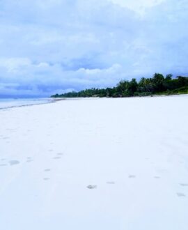 Diani